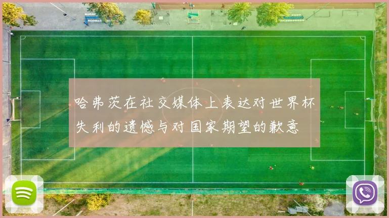 哈弗茨在社交媒体上表达对世界杯失利的遗憾与对国家期望的歉意